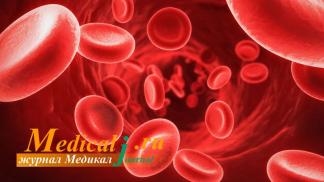 Анемия или малокровие — чем опасен низкий гемоглобин?